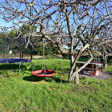 Appartement Silva 2-1 2- Kat By Interhome