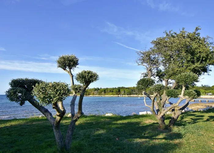 Apartment Silva 2-1 2- Kat By Interhome *