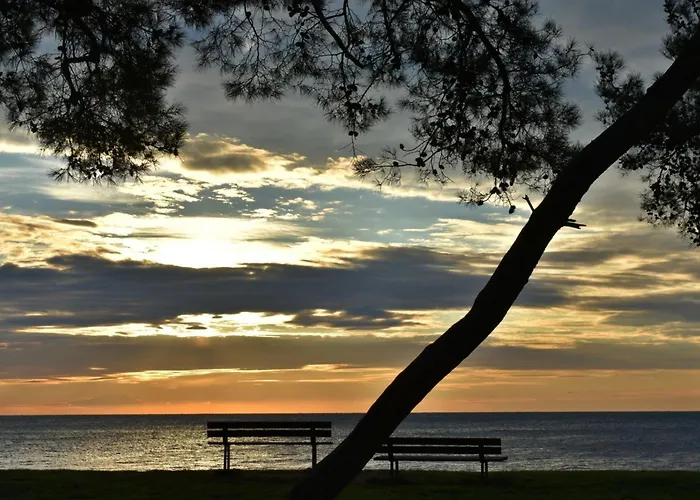 Silva 2-1 2- Kat By Interhome * Basanija